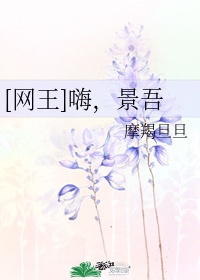 网王嗨景吾txt