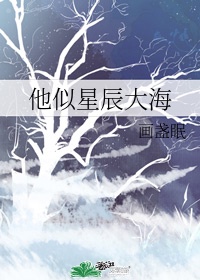 他似星辰大海完整版