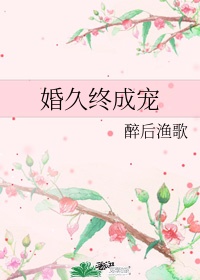 婚久终成宠小说免费阅读全文无删减