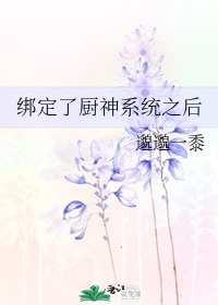 绑定了厨神系统之后晋江