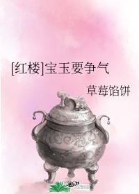 【红楼】宝玉不想努力了