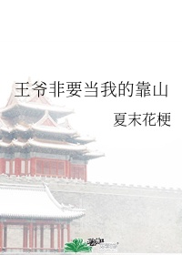 非我倾城—王爷要休妃