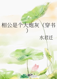 相公是个大炮灰(穿书) 水君迁