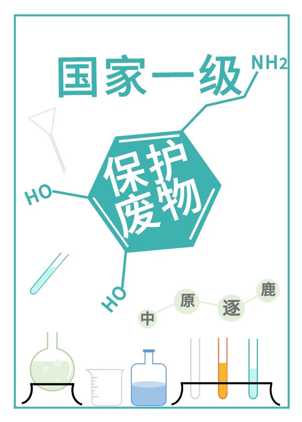 世界一级保护天才 小说