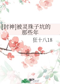 灵珠子是什么