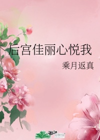 女主是德妃