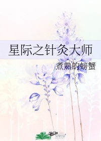 星际之针灸大师