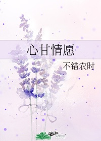 心甘情愿歌曲表达了什么感情