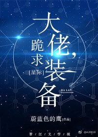 大佬跪求装备星际百度网盘