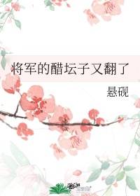 你又打翻了将军的醋坛子