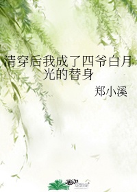 我成了四爷白月光