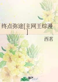 终点 网站