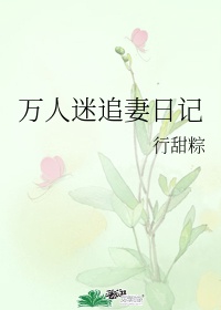 万人迷追妻日记小说