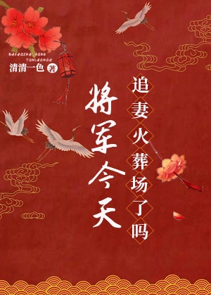 将军今天追妻火葬场了吗全