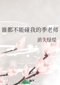 谁都不能碰我的季老师无错版