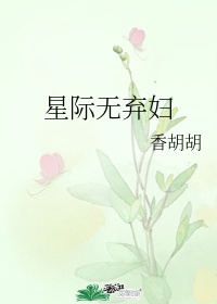 星际无弃妇 小说