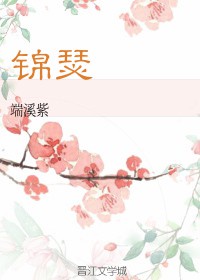 穿越小说锦瑟公主