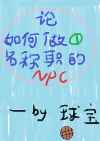 论如何做一名称职的npc 作者:球宝