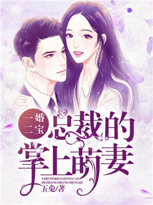 一婚二宝总裁的掌上萌妻