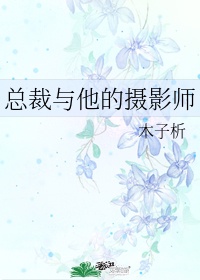 摄影师与总裁的小说