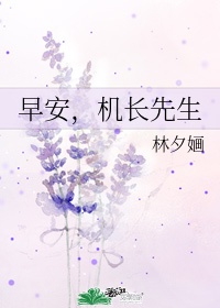 早安机长先生txt 百度网盘