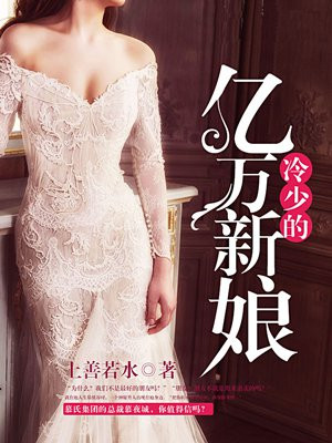 冷少的闪婚新娘