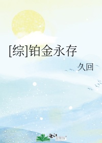 综铂金永存笔趣阁