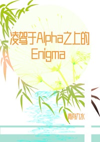 凌驾于alpha之上的enigma.