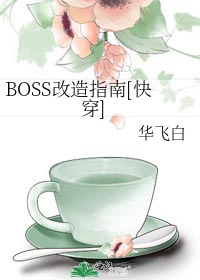 boss怎么更换