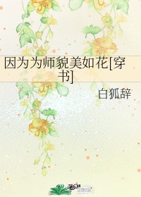 因为为师貌美如花百度云下载