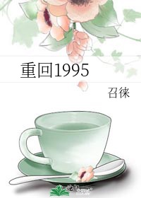 重回1995萝卜精