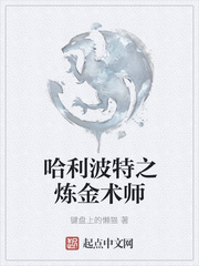 哈利波特之炼金术师新笔趣阁