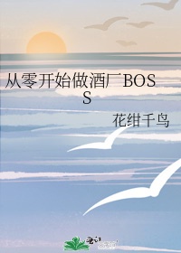 从零开始做酒厂BOSS[柯南/文野