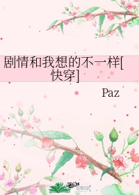 《剧情和我想的不一样》bypaz文案