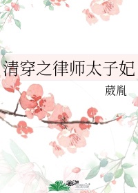 清穿之律师太子妃网盘