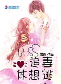 boss追妻49天 小说