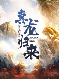 真龙归来叶无缺无弹窗