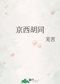 京西胡同小说芜苦