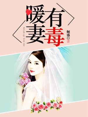 暖妻宠妻