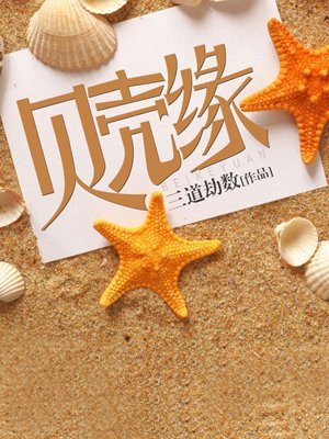 太湖缘贝壳