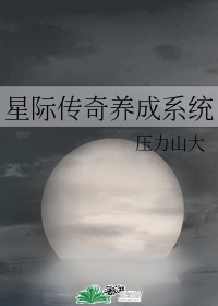 星际传奇 笔趣阁