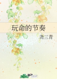 玩命的节奏 作者:尧三青