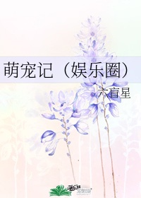 萌宠记(娱乐圈) 六盲星讲什么