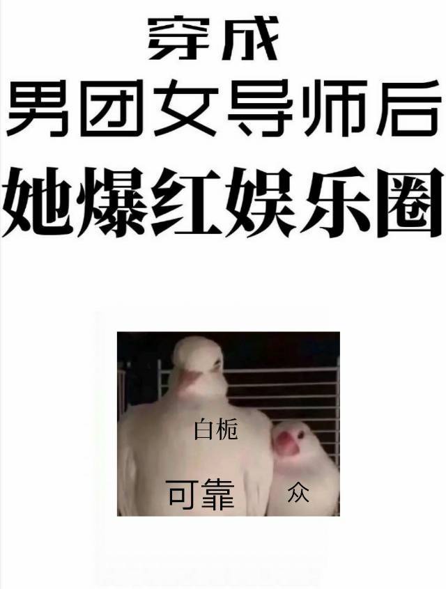 穿成男团选秀女导师后她爆红娱乐圈橘座