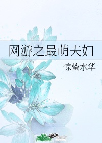 网游之最萌夫妇番外123