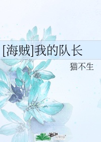 海贼无双4刷队长