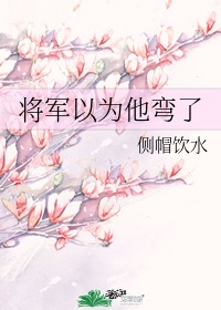 将军以为他弯了 侧帽饮水TXT