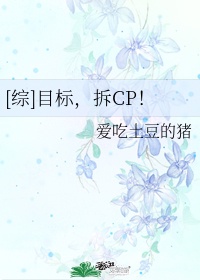 综目标拆cp全文完整版