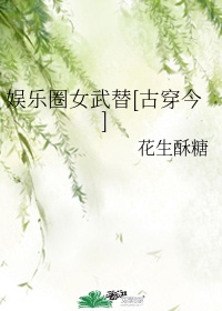 娱乐圈女武替古穿今gltxt