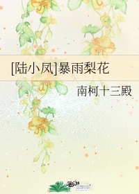 [陆小凤]暴雨梨花